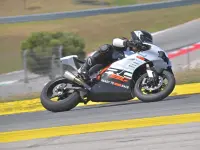 KTM 890 Duke GP 2024 73621 Thumb