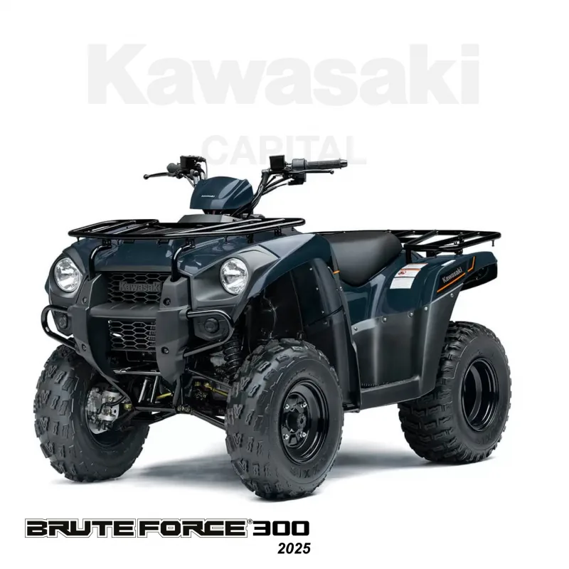 Kawasaki Brute Force 300