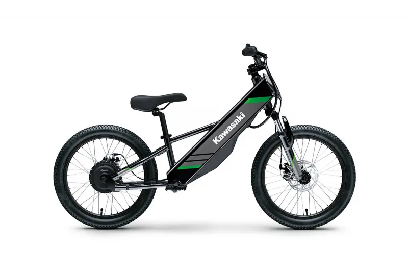 2025 Kawasaki Elektrode