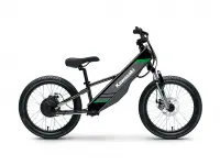 Kawasaki Elektrode