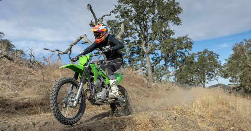 Kawasaki KLX 230R S 2025 Image: 2 Kawasaki KLX 230R S 2025 73455