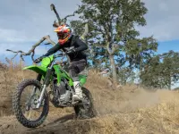Kawasaki KLX 230R S 2025 73455 Thumb