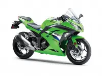 Kawasaki Ninja 300 2026 69391 Thumb