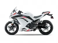Kawasaki Ninja 300 2026 70420 Thumb