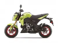 Kawasaki Z125 Pro 2026 69384 Thumb