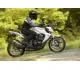 Kawasaki Z1000 2008 2552 Thumb
