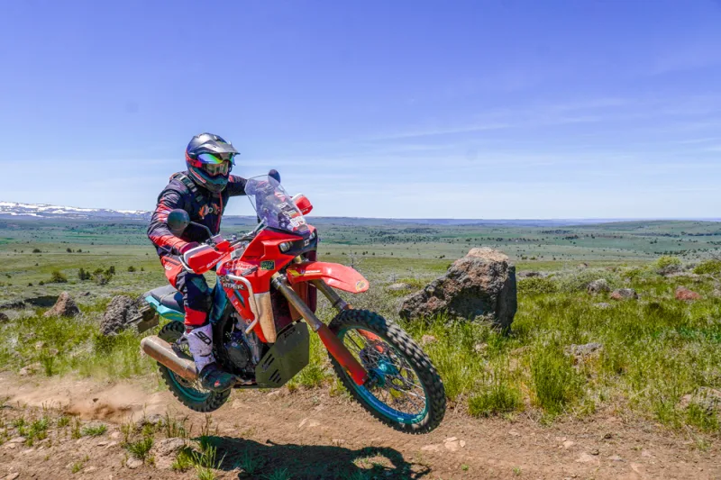 Kove 800X Rally 2025 Image: 2 Kove 800X Rally 2025 73516