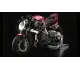 MV Agusta Brutale 1000 Serie Oro 2021 45470 Thumb