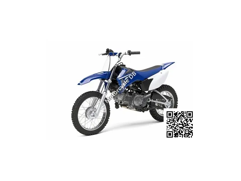 2008 PRC (pro Racing Cycles) RR-65