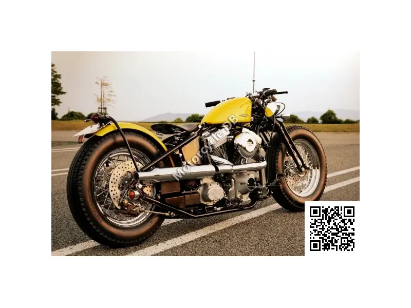 Road Hopper Type 5I Evo 2011 22463