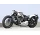 Road Hopper Type 9 Evo 2021 45372 Thumb