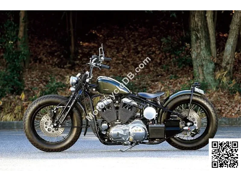 2022 Road Hopper TYPE2I