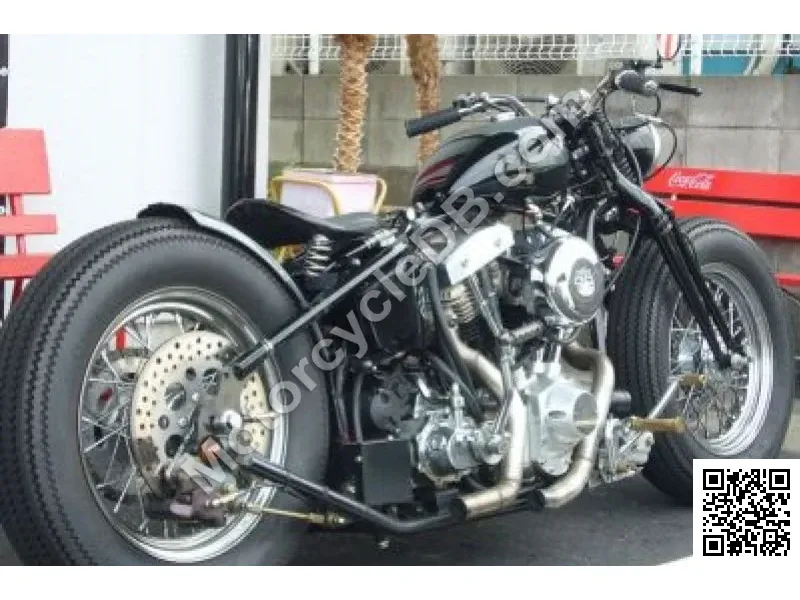 2021 Road Hopper TYPE2I