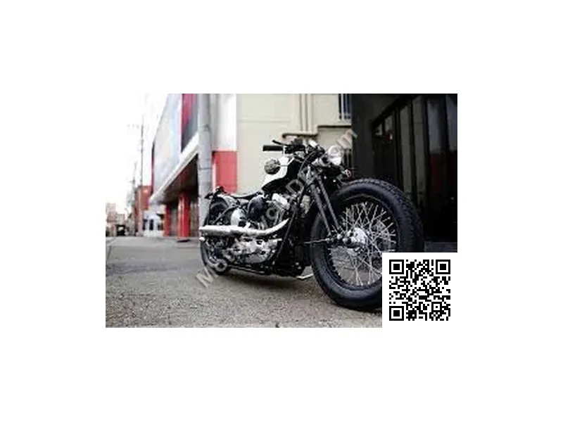 Road Hopper TYPE2I Zero Fighter 2021 Image: 1 Road Hopper TYPE2I Zero Fighter 2021 45370