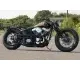Samurai Chopper 2009 19037 Thumb