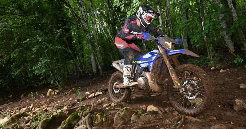 Sherco 300 SE Factory 2024 Image: 2 Sherco 300 SE Factory 2024 73713