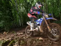 Sherco 300 SE Factory 2024 73713 Thumb