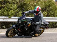 Suzuki GSX 8S 2025 73724 Thumb