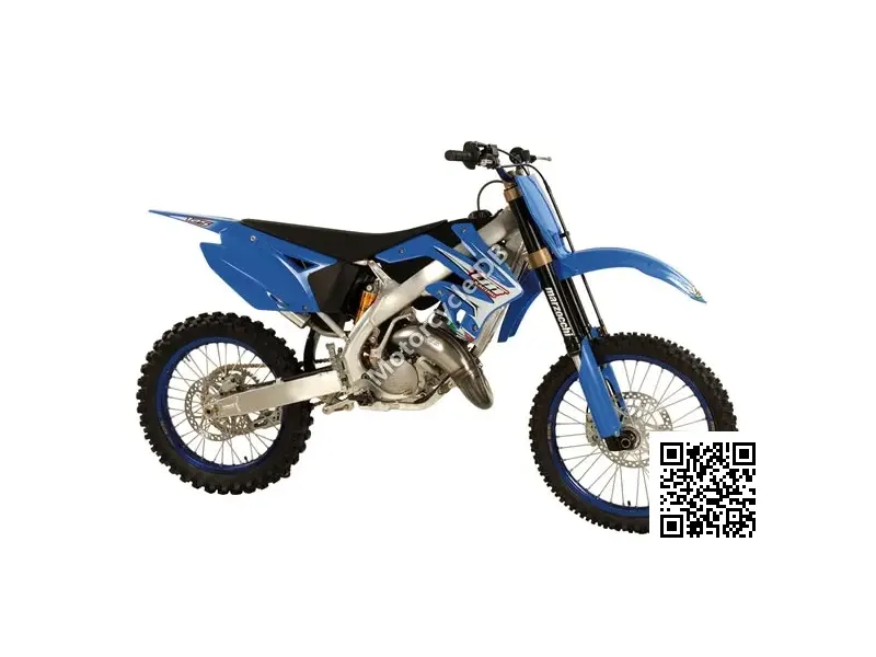 2009 TM Racing MX 125