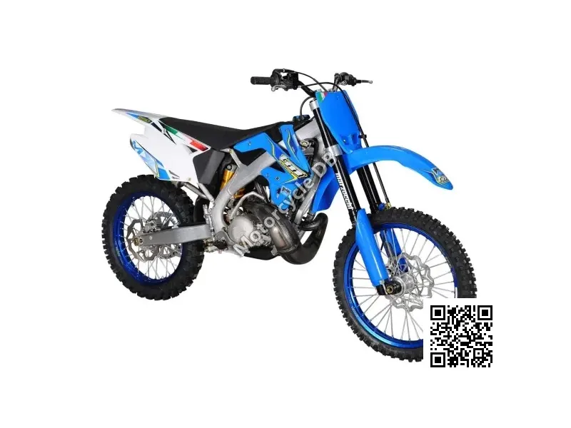 2011 TM Racing MX 300