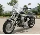 Tank Sports 250E 2008 19323 Thumb