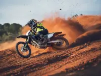 Triumph TF-250X 2026 69332 Thumb