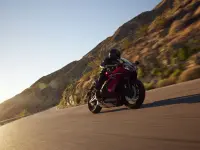Triumph Speed Twin 900 2024 73829 Thumb
