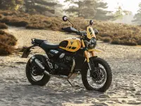 Triumph Street Scrambler Gold Line 2024 73830 Thumb