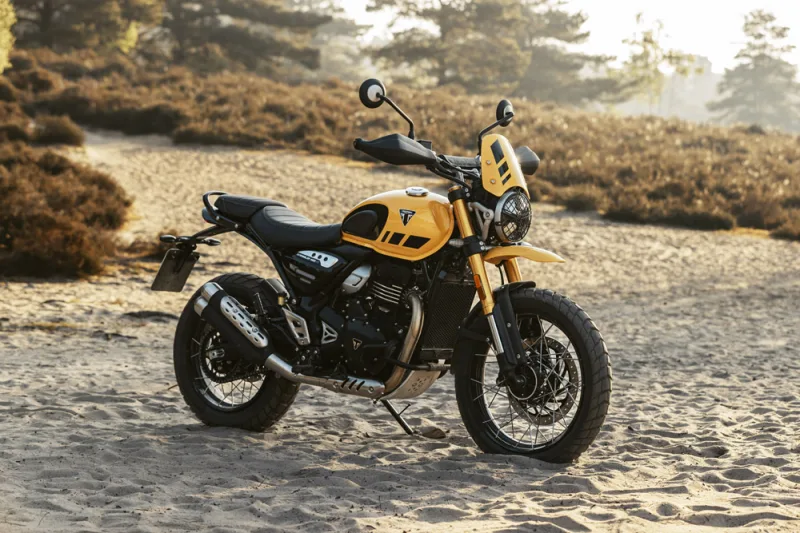 Triumph Street Twin Gold Line 2024 Image: 6 Triumph Street Twin Gold Line 2024 73834