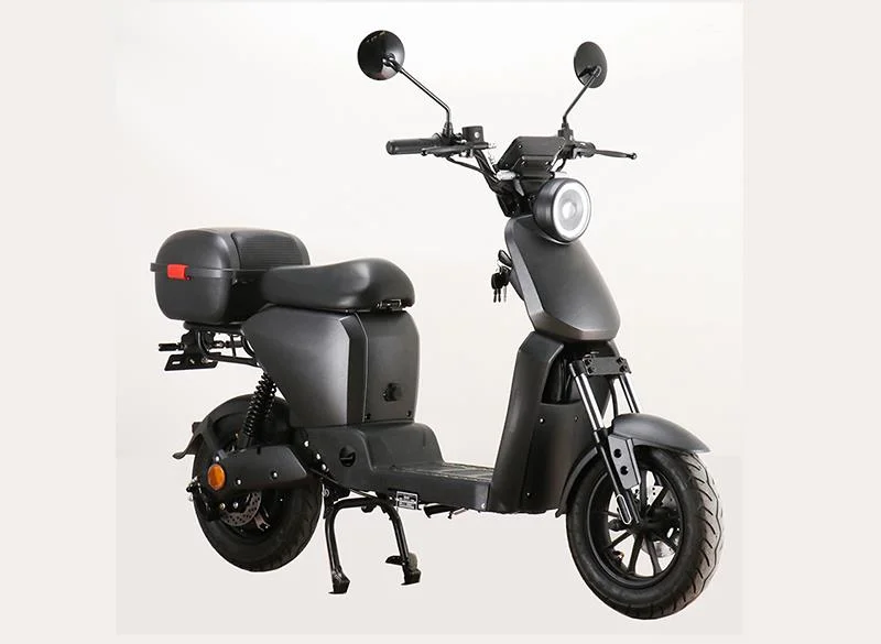 2026 VeliMotor VL800DT-K
