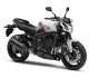 Yamaha FZ1 2011 26777 Thumb