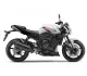 Yamaha FZ1 2011 26778 Thumb