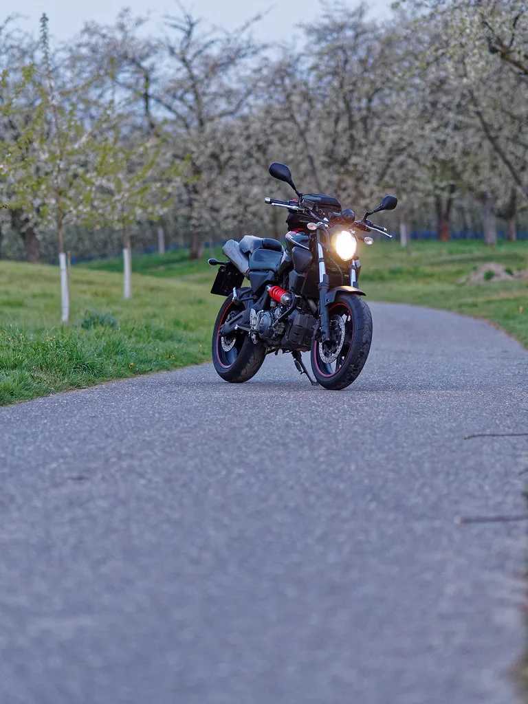 Yamaha MT 03 2025 Image: 1 Yamaha MT 03 2025 61429