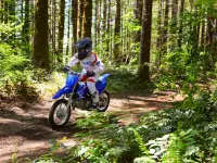 Yamaha TT-R110 2026 69155 Thumb