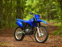 Yamaha TT-R230 2025