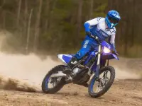 Yamaha WR450F 2025 73884 Thumb