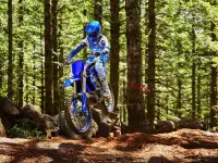 Yamaha YZ250FX 2026 69865 Thumb