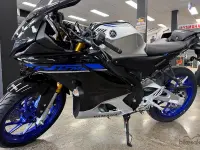 Yamaha YZF-R15M 2024 74713 Thumb