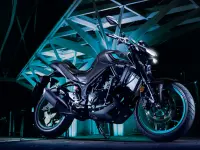Yamaha Zuma 125 2024 73946 Thumb