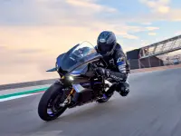Yamaha YZF-R1M 2025 73961 Thumb