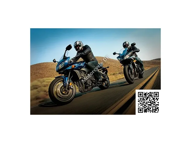 2009 Yamaha FZ1