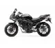Yamaha FZ6 2008 2895 Thumb
