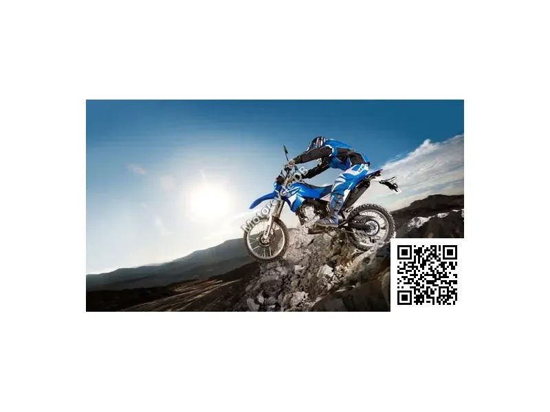 2009 Yamaha WR250R