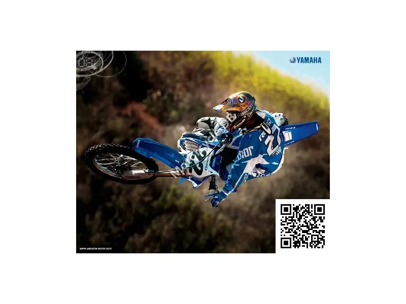 Yamaha YZ450F 2008 Image: 2 Yamaha YZ450F 2008 3009
