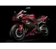 Yamaha YZF-R1 2007 2215 Thumb