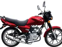 Yamasaki Bushbuck 2025 61471 Thumb