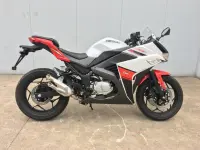 Yamasaki Dream 2026