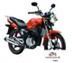 CF Moto Leader 150 2015 51890 Thumb