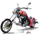 DF Motor DF250RTF 2018