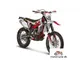 GAS GAS EC Racing 300F 2014 48483 Thumb